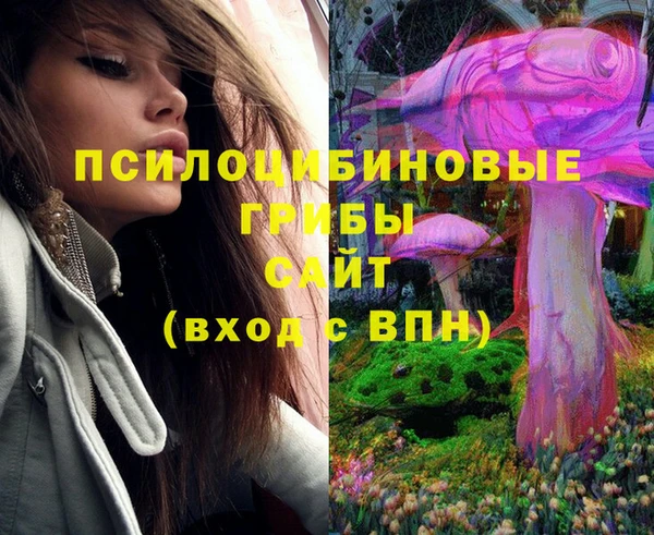 метадон Алзамай