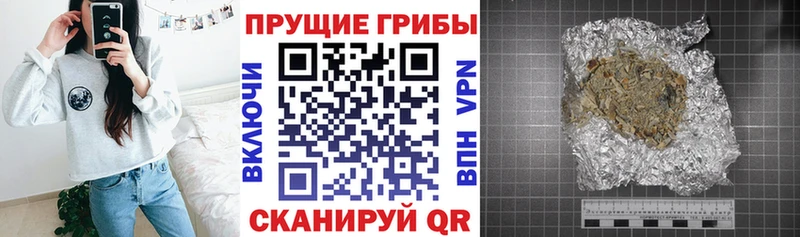 Галлюциногенные грибы GOLDEN TEACHER Мензелинск