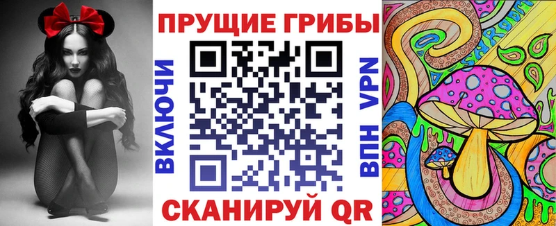 Галлюциногенные грибы Psilocybe  Мензелинск 